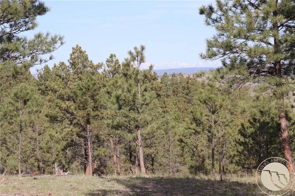 Lot 155 Cougar Trail Columbus MT 59019