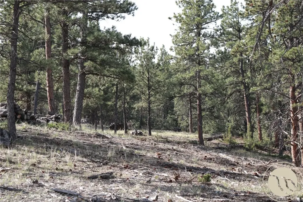 Lot 155 Cougar Trail Columbus MT 59019