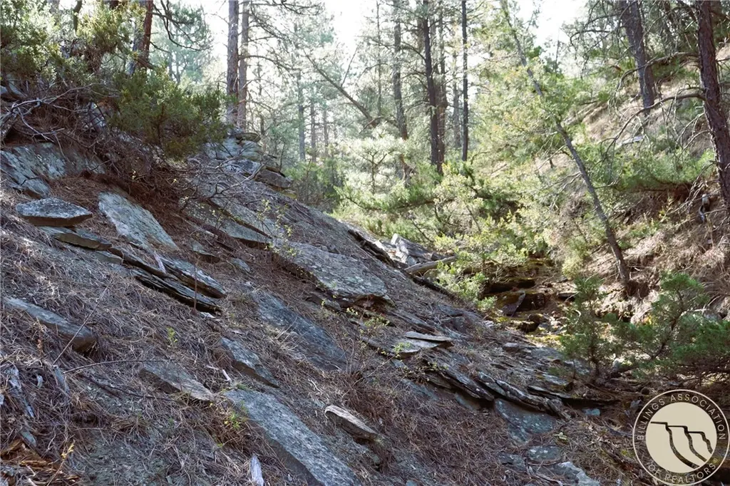 Lot 155 Cougar Trail Columbus MT 59019
