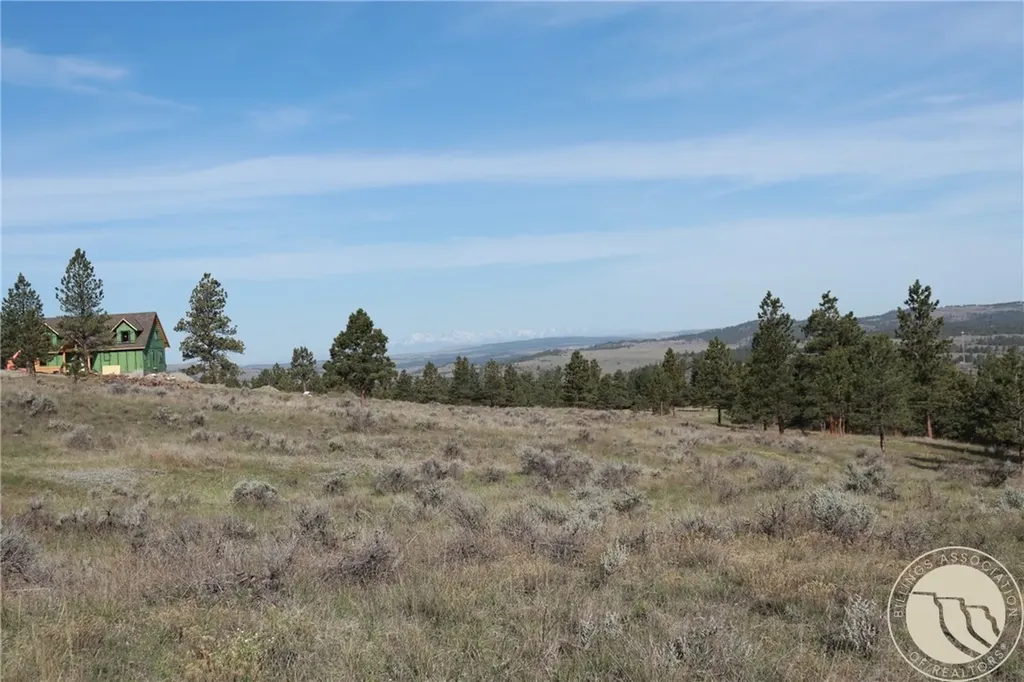 Lot 155 Cougar Trail Columbus MT 59019