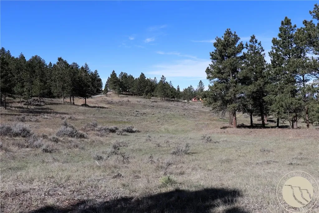 Lot 155 Cougar Trail Columbus MT 59019