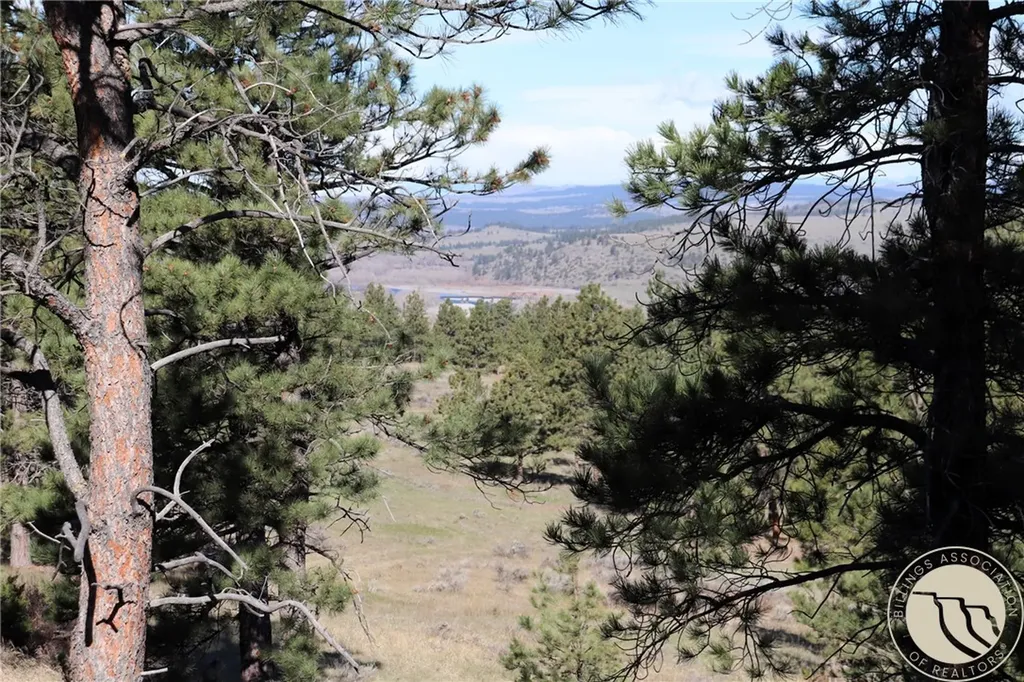 Lot 155 Cougar Trail Columbus MT 59019