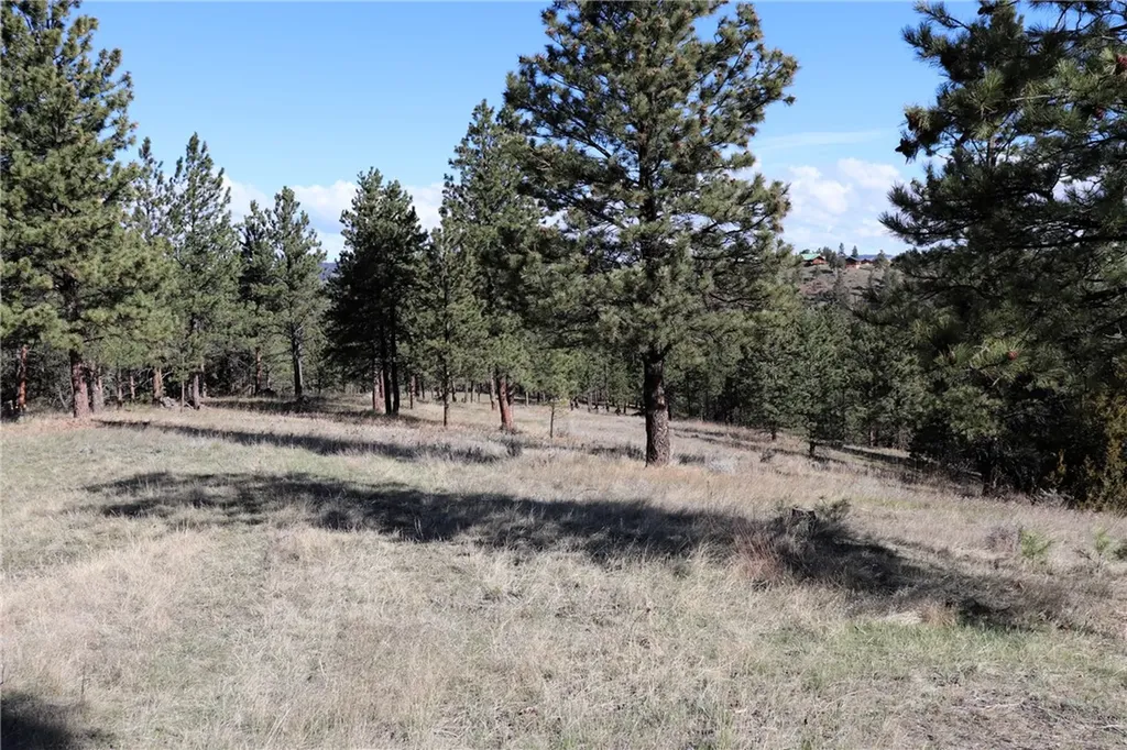 Lot 155 Cougar Trail Columbus MT 59019