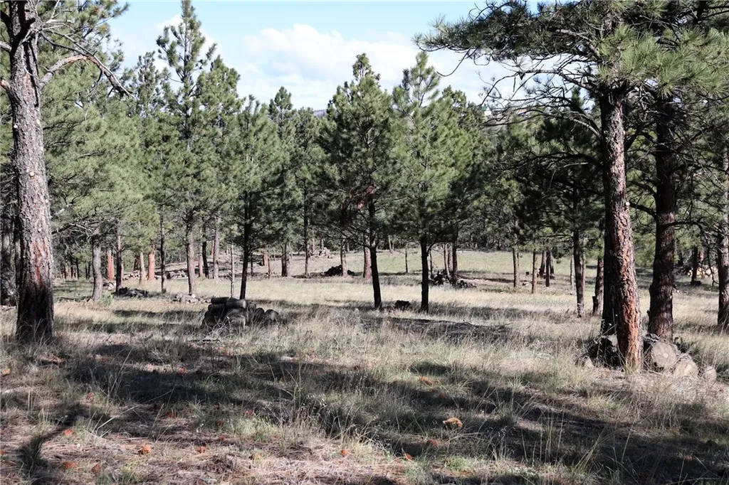Lot 155 Cougar Trail Columbus MT 59019