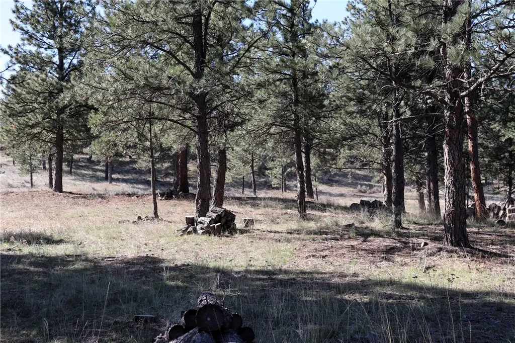 Lot 155 Cougar Trail Columbus MT 59019