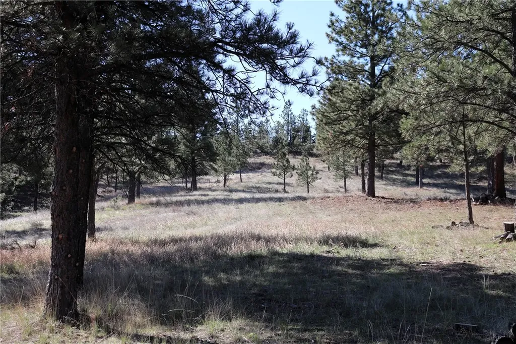 Lot 155 Cougar Trail Columbus MT 59019