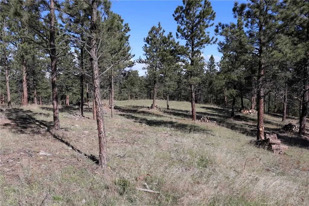 Lot 155 Cougar Trail Columbus MT 59019