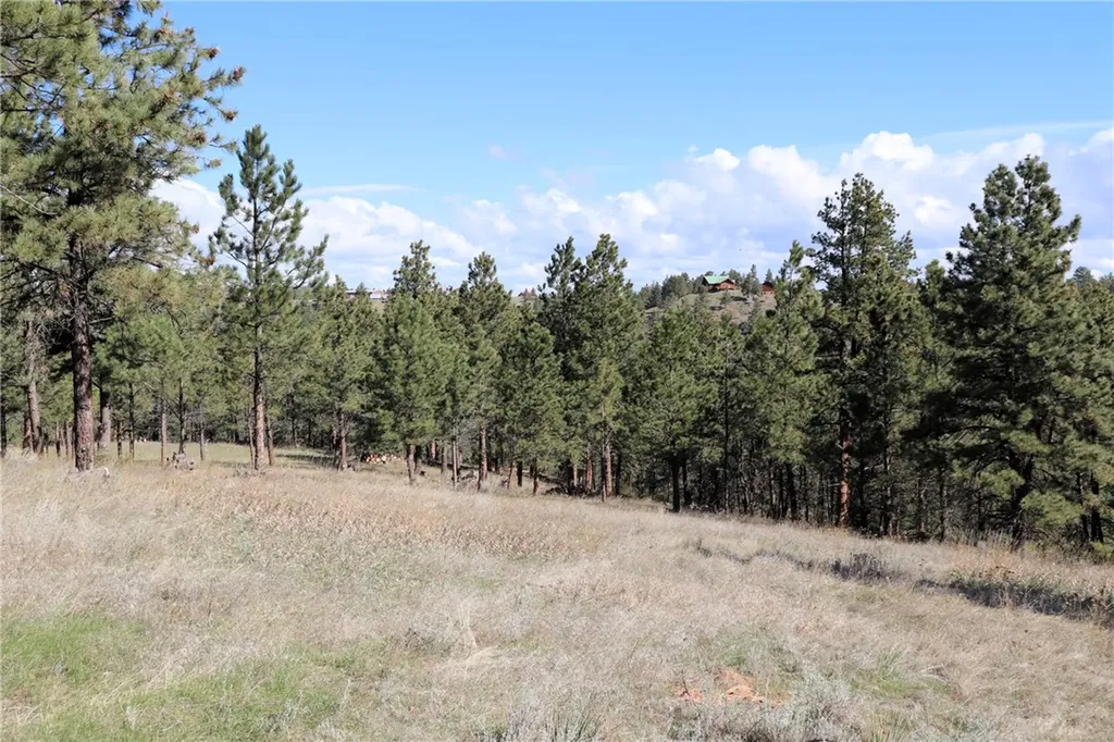 Lot 155 Cougar Trail Columbus MT 59019