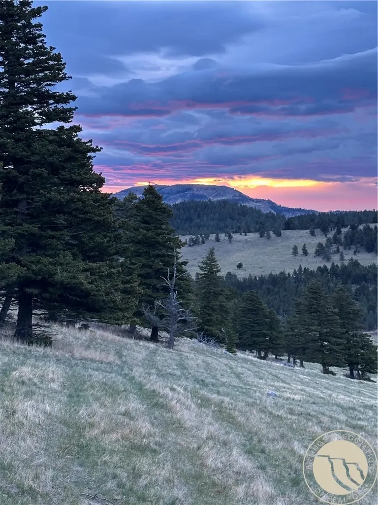 7 Eagle Trail Fishtail MT 59028