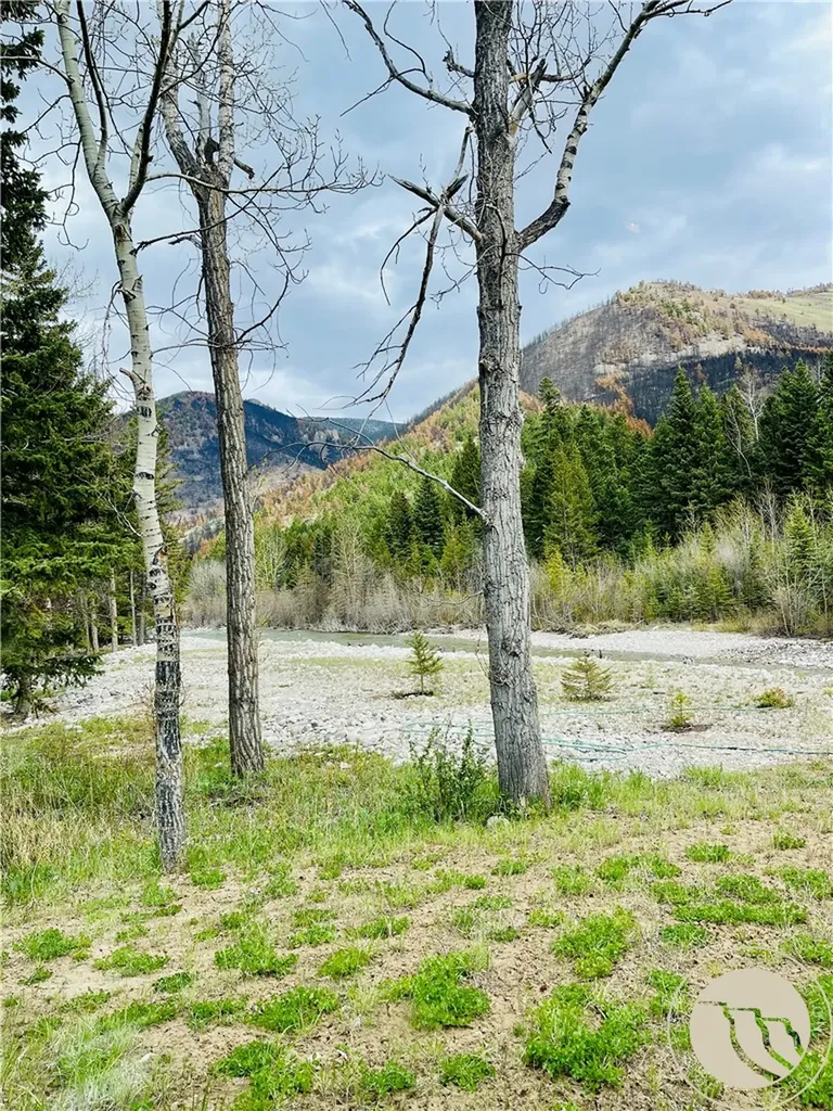 7 Black Bear Trail Red Lodge MT 59068