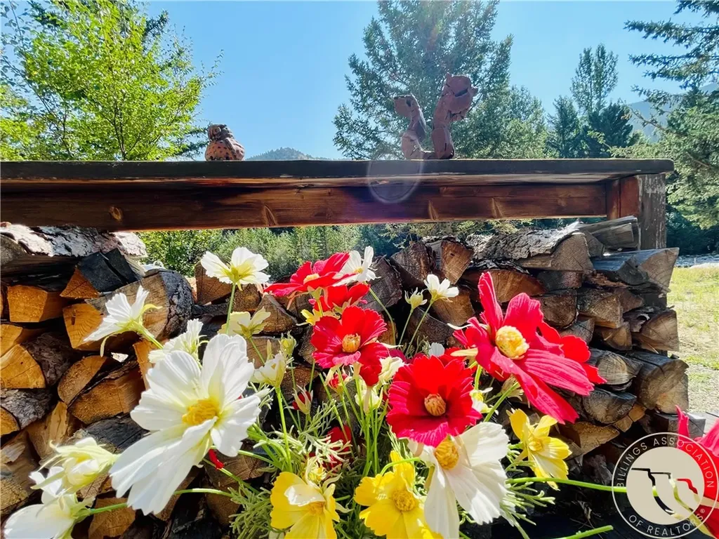 7 Black Bear Trail Red Lodge MT 59068