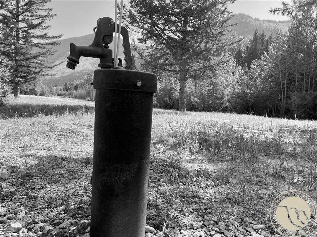 7 Black Bear Trail Red Lodge MT 59068