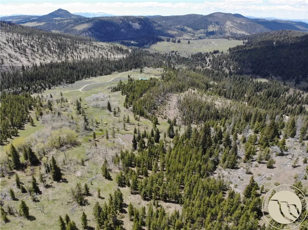95 Little Moose Creek Other MT 59645