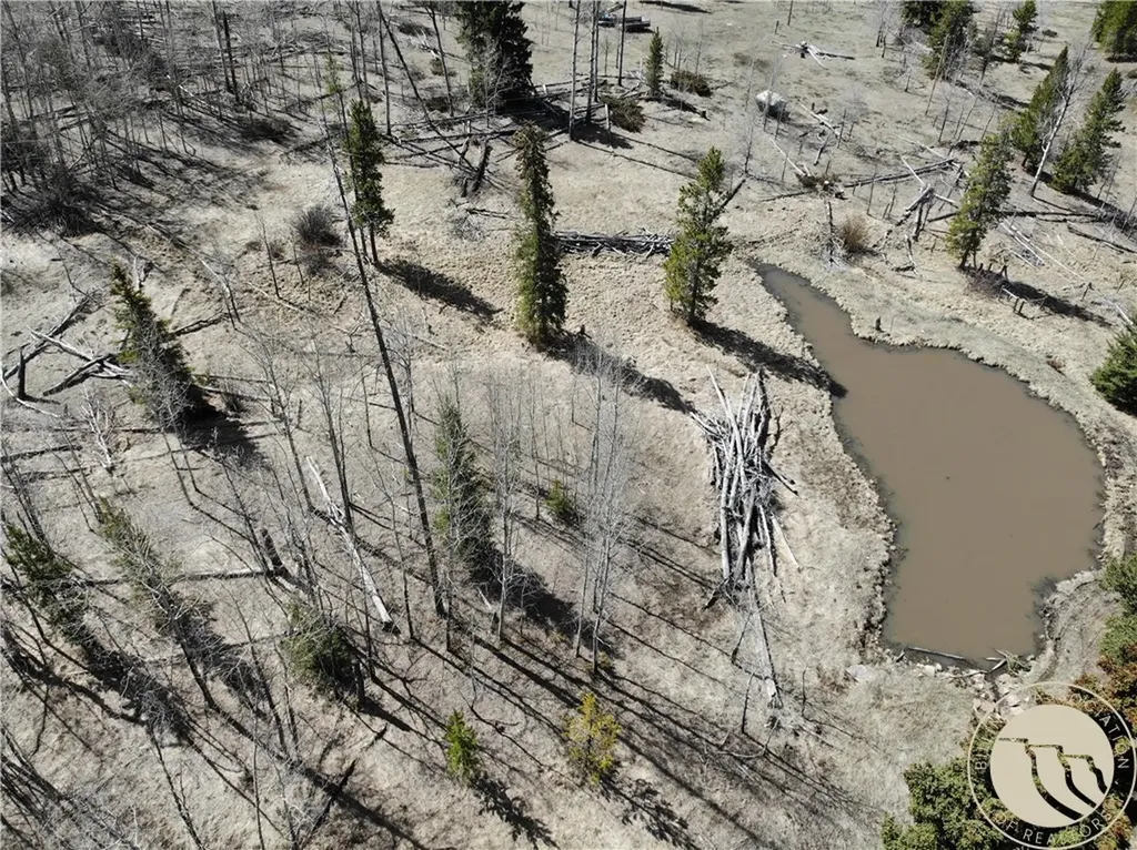 95 Little Moose Creek Other MT 59645