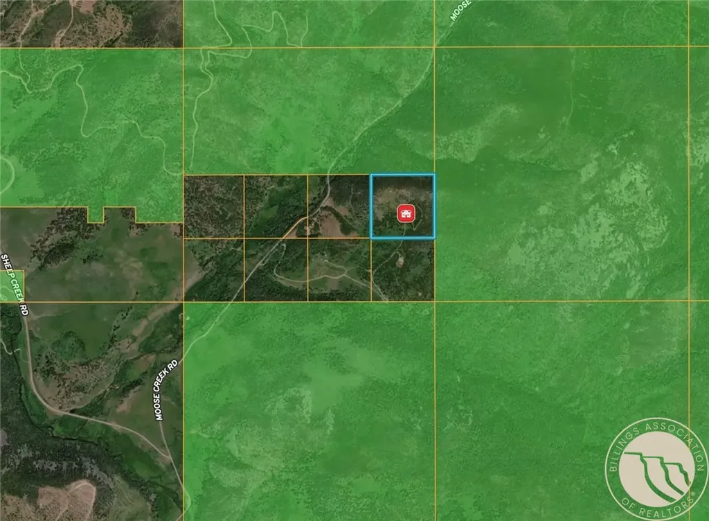 95 Little Moose Creek Other MT 59645
