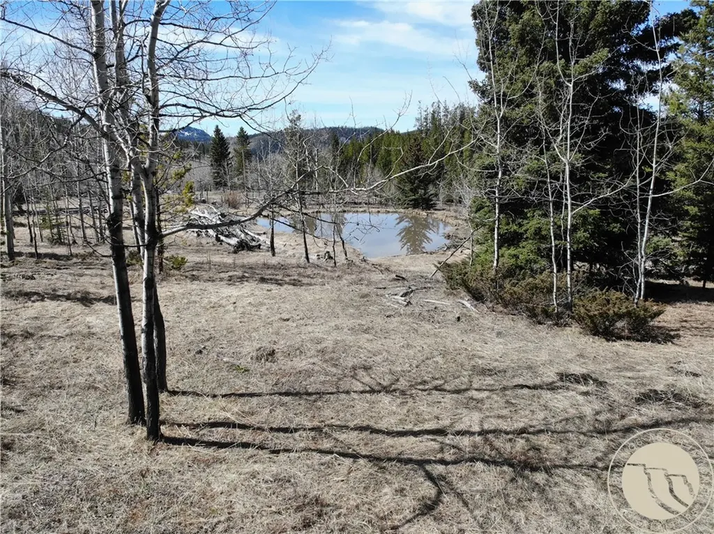 95 Little Moose Creek Other MT 59645