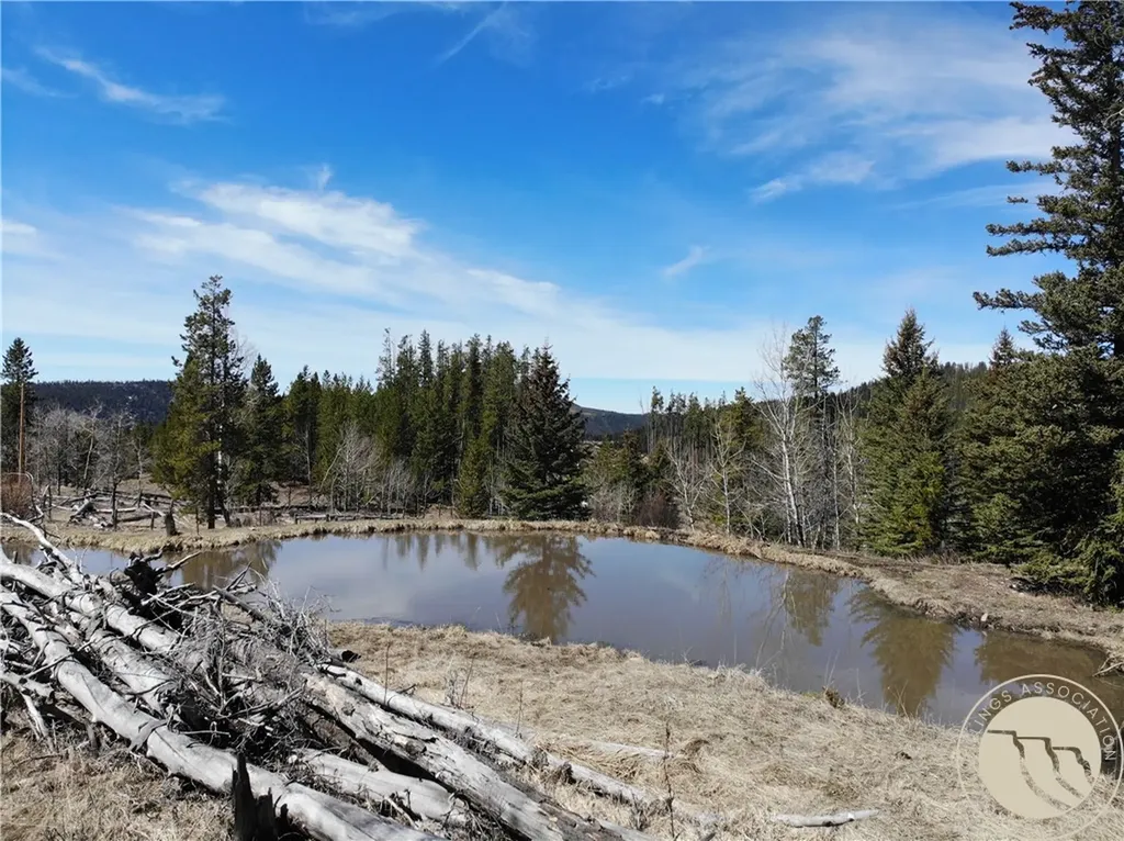 95 Little Moose Creek Other MT 59645
