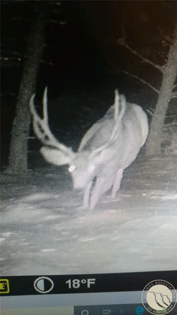 95 Little Moose Creek Other MT 59645