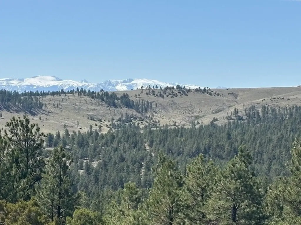 Lot 184 Owl Canyon Road Columbus MT 59019