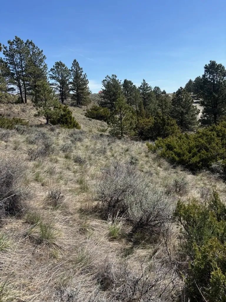 Lot 184 Owl Canyon Road Columbus MT 59019