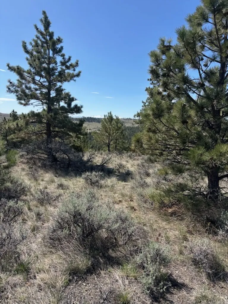 Lot 184 Owl Canyon Road Columbus MT 59019