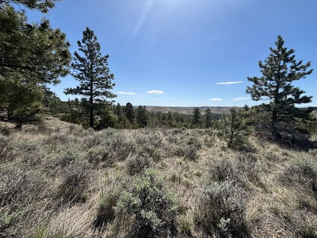 Lot 184 Owl Canyon Road Columbus MT 59019