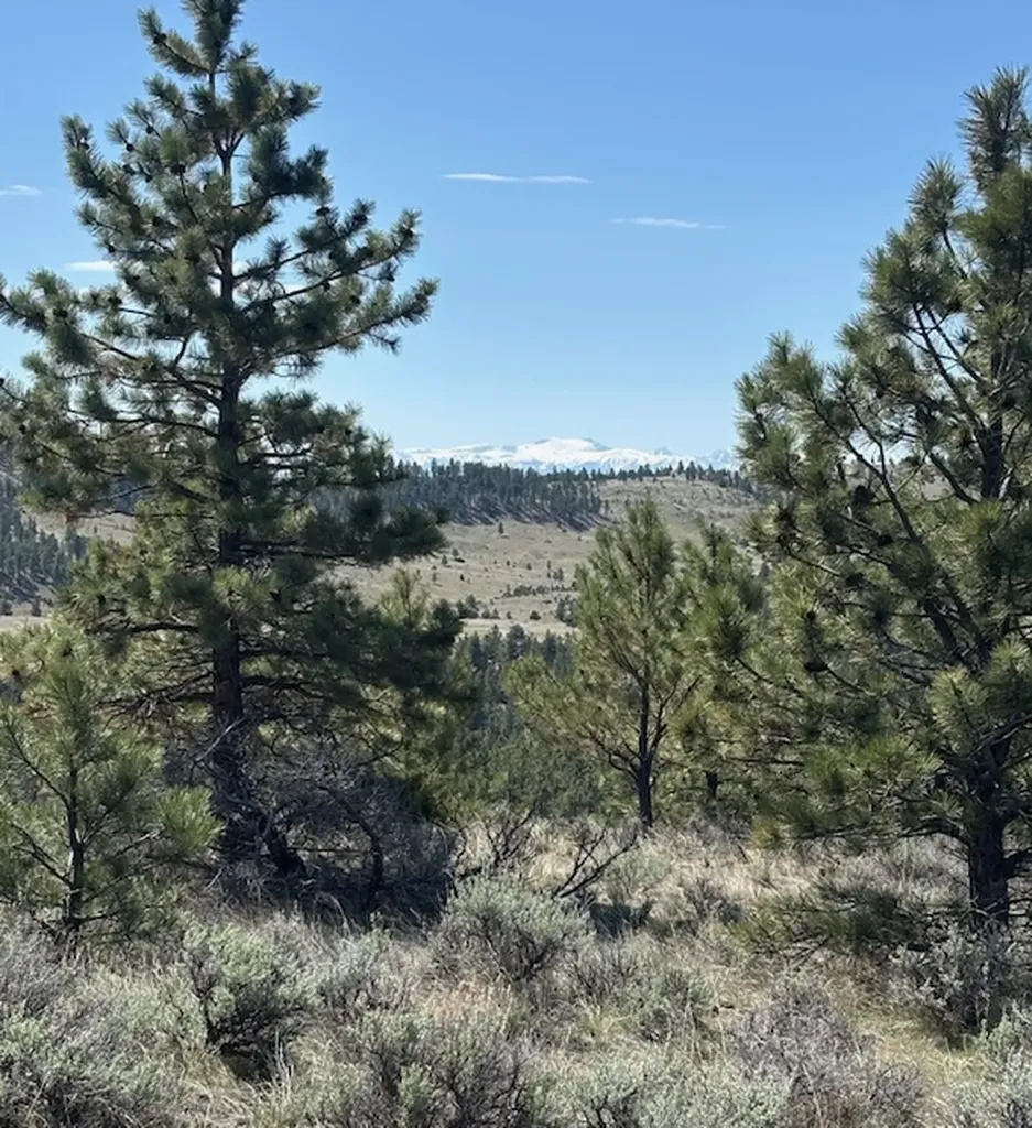 Lot 184 Owl Canyon Road Columbus MT 59019