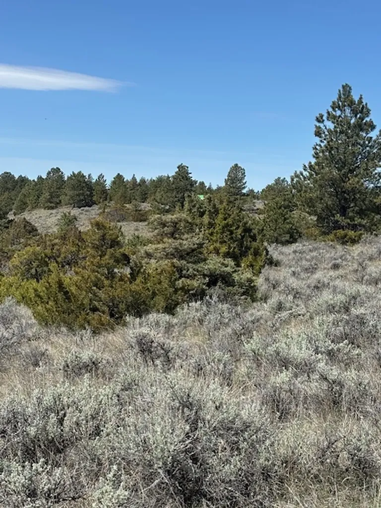 Lot 184 Owl Canyon Road Columbus MT 59019