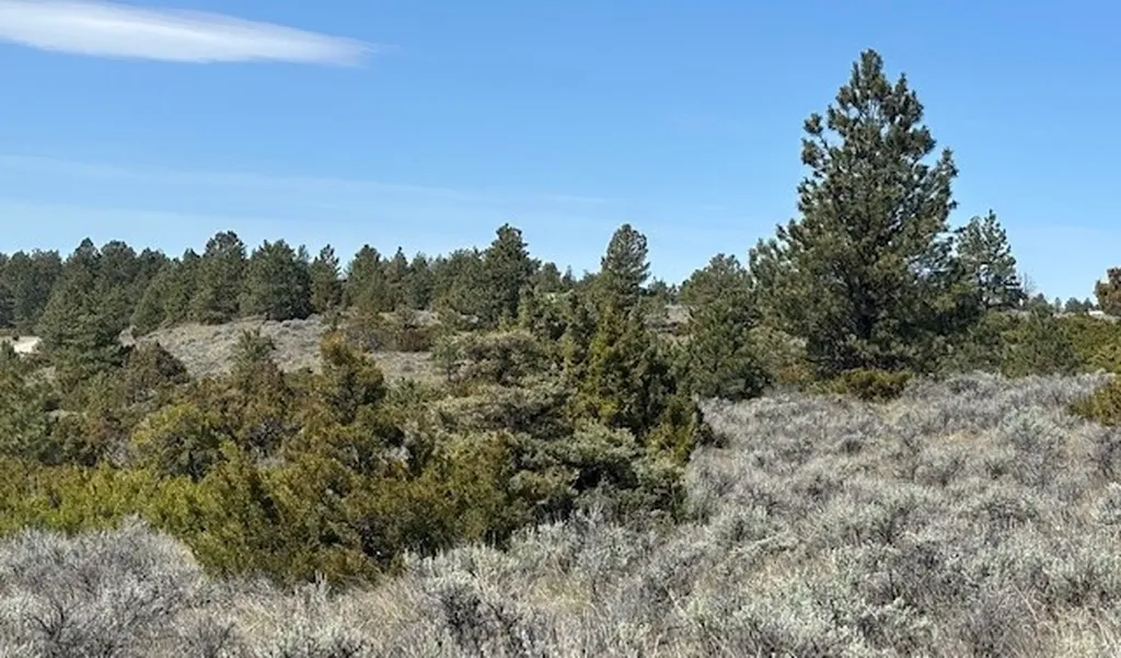 Lot 184 Owl Canyon Road Columbus MT 59019