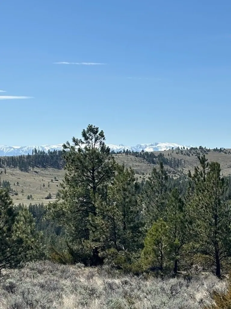 Lot 184 Owl Canyon Road Columbus MT 59019