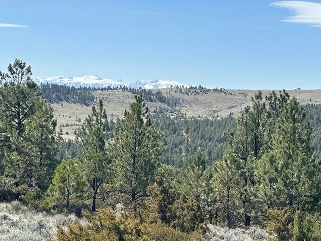 Lot 184 Owl Canyon Road Columbus MT 59019