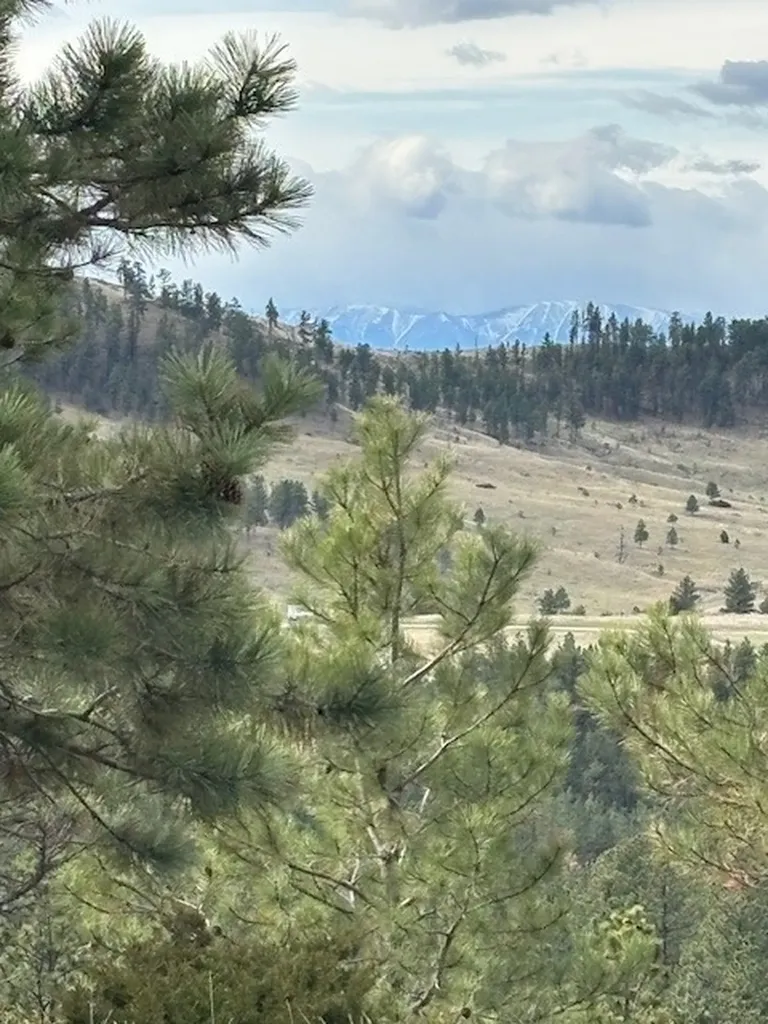 Lot 184 Owl Canyon Road Columbus MT 59019