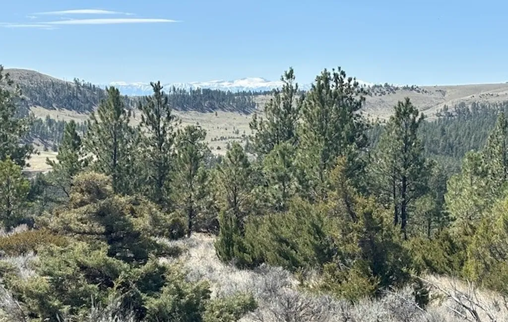 Lot 184 Owl Canyon Road Columbus MT 59019