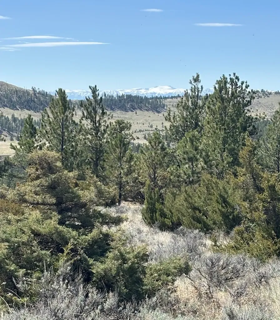 Lot 184 Owl Canyon Road Columbus MT 59019