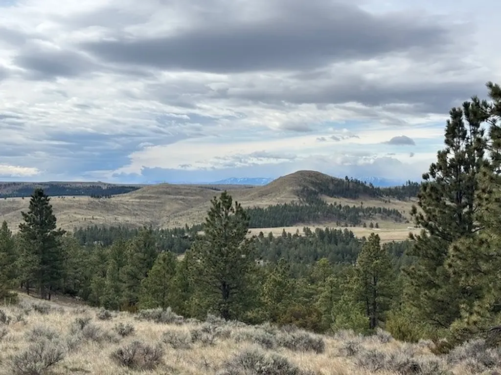 Lot 184 Owl Canyon Road Columbus MT 59019