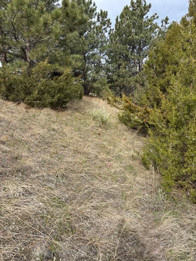 Lot 184 Owl Canyon Road Columbus MT 59019