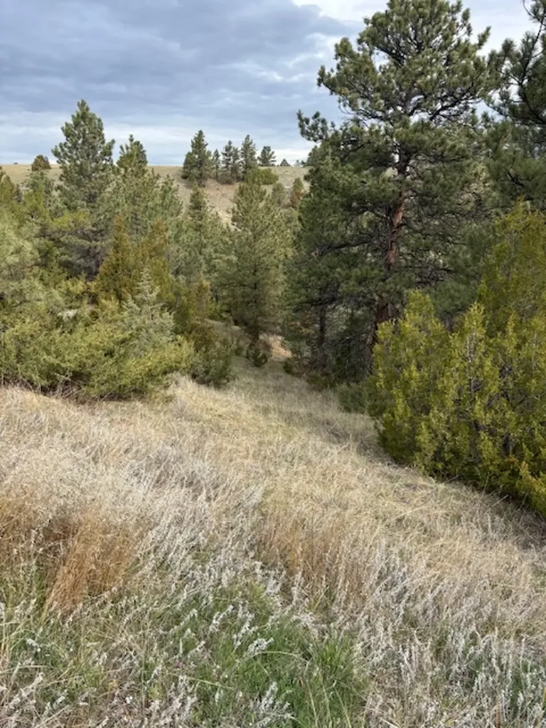 Lot 184 Owl Canyon Road Columbus MT 59019