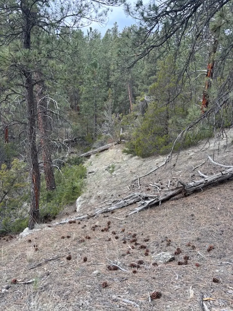 Lot 184 Owl Canyon Road Columbus MT 59019
