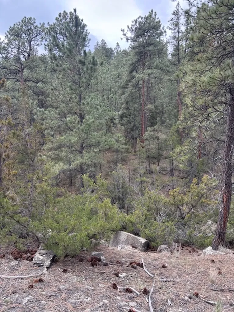 Lot 184 Owl Canyon Road Columbus MT 59019