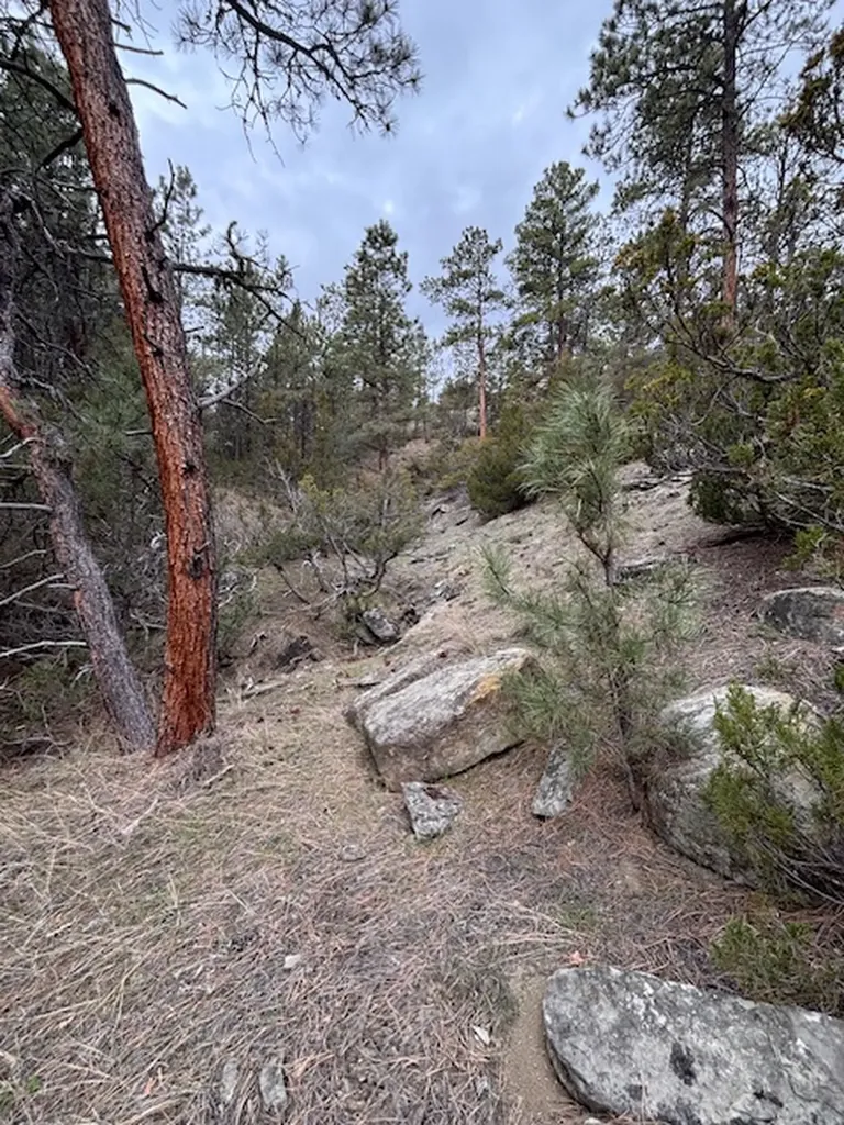 Lot 184 Owl Canyon Road Columbus MT 59019