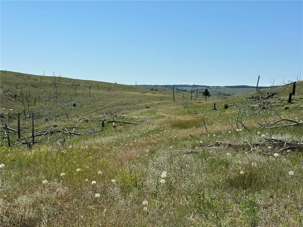 120 Buckskin Road Roundup MT 59072
