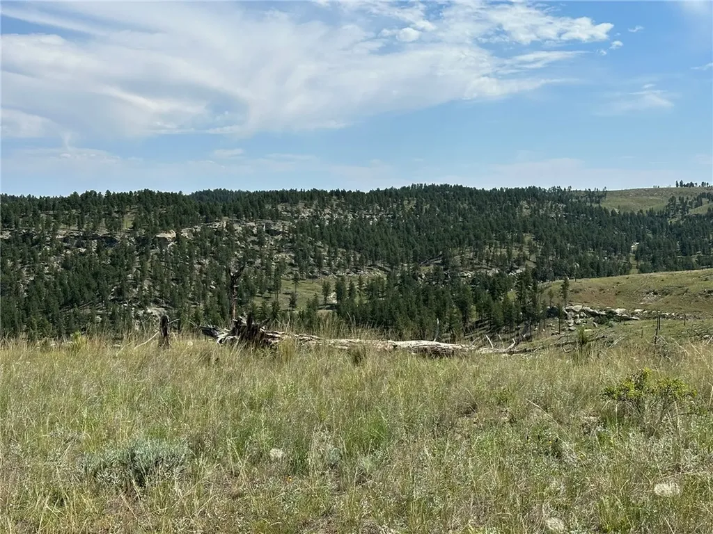120 Buckskin Road Roundup MT 59072