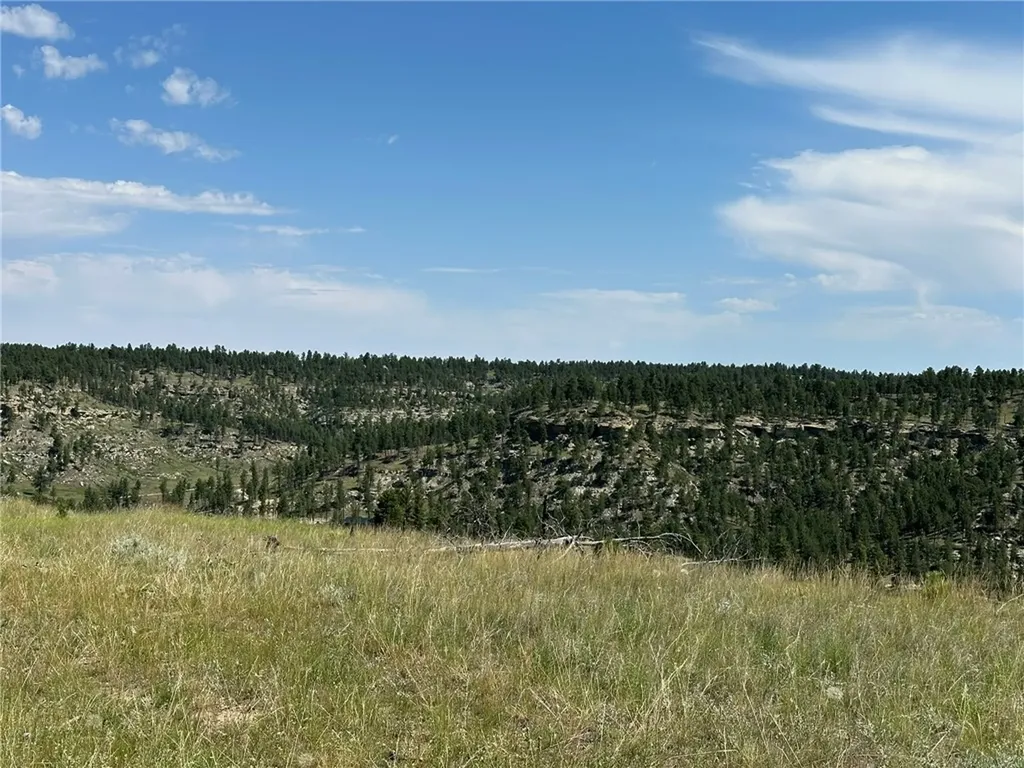 120 Buckskin Road Roundup MT 59072