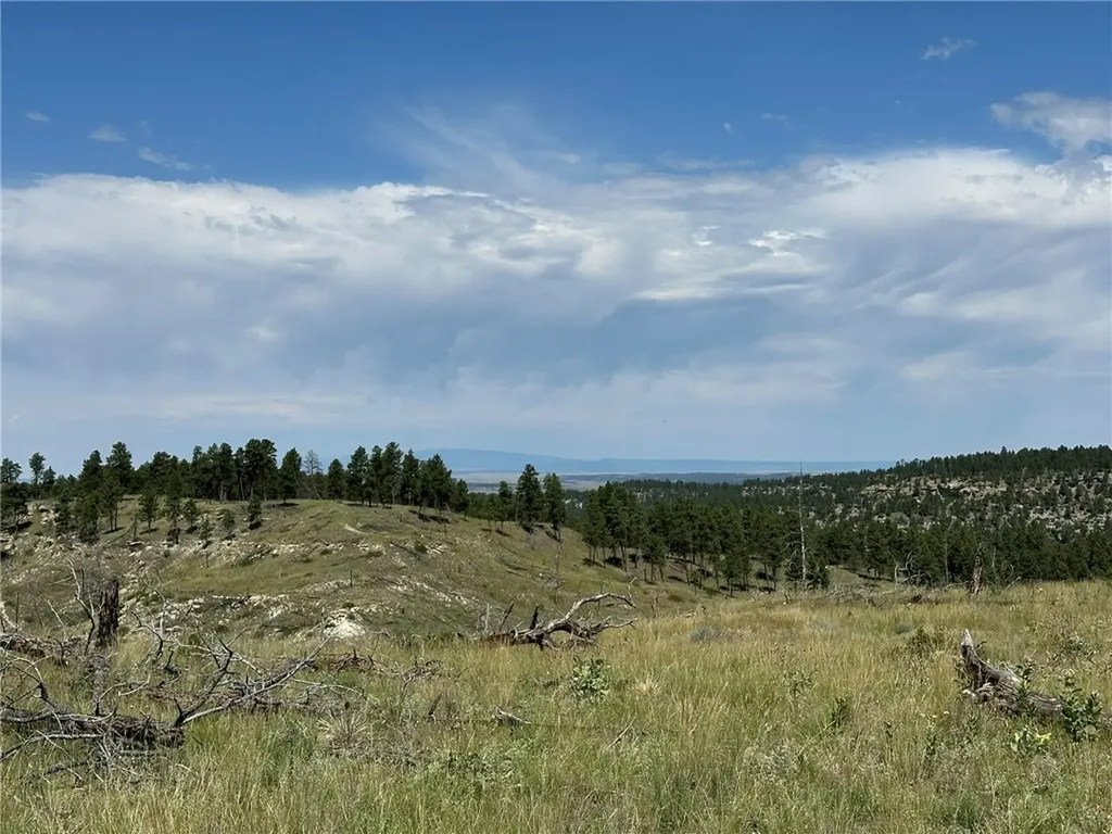 120 Buckskin Road Roundup MT 59072