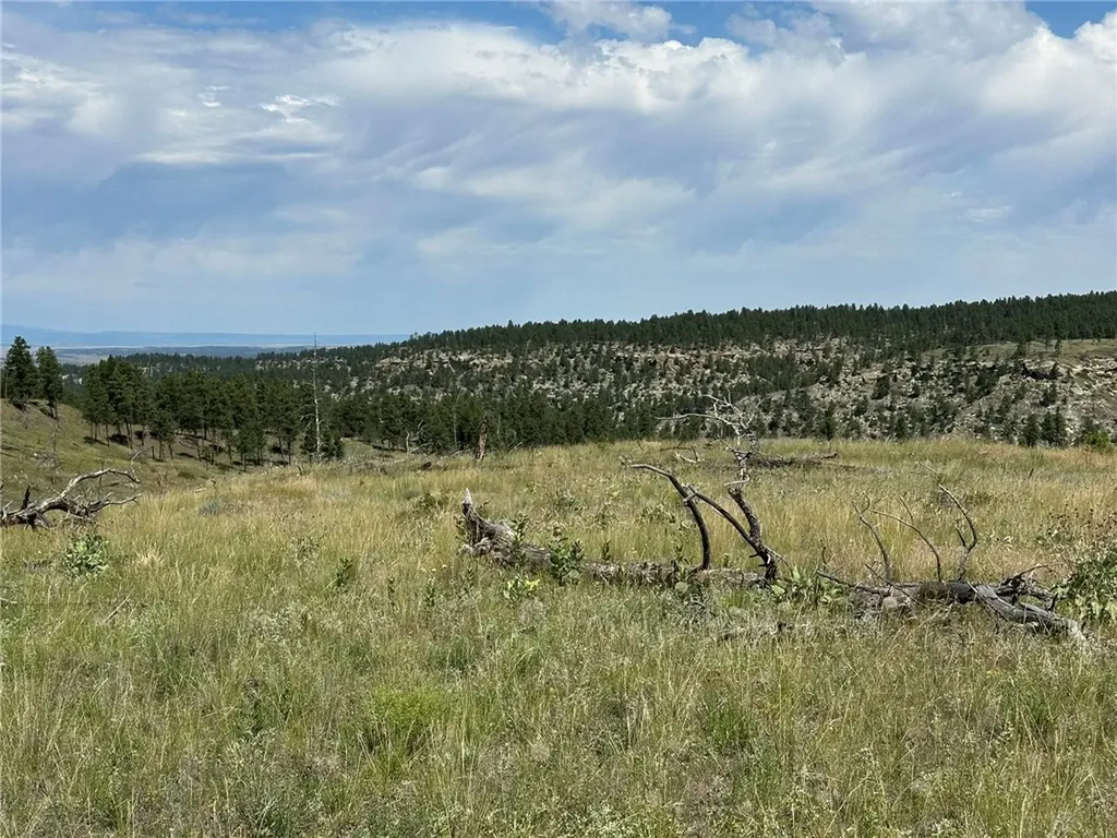 120 Buckskin Road Roundup MT 59072