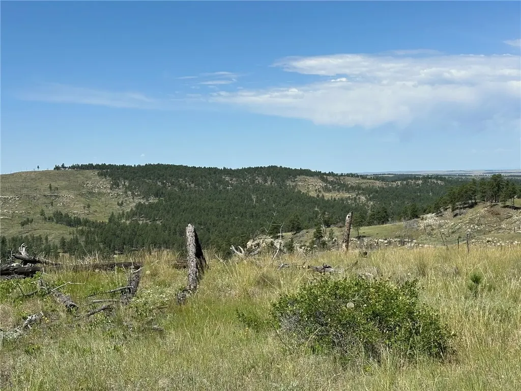 120 Buckskin Road Roundup MT 59072