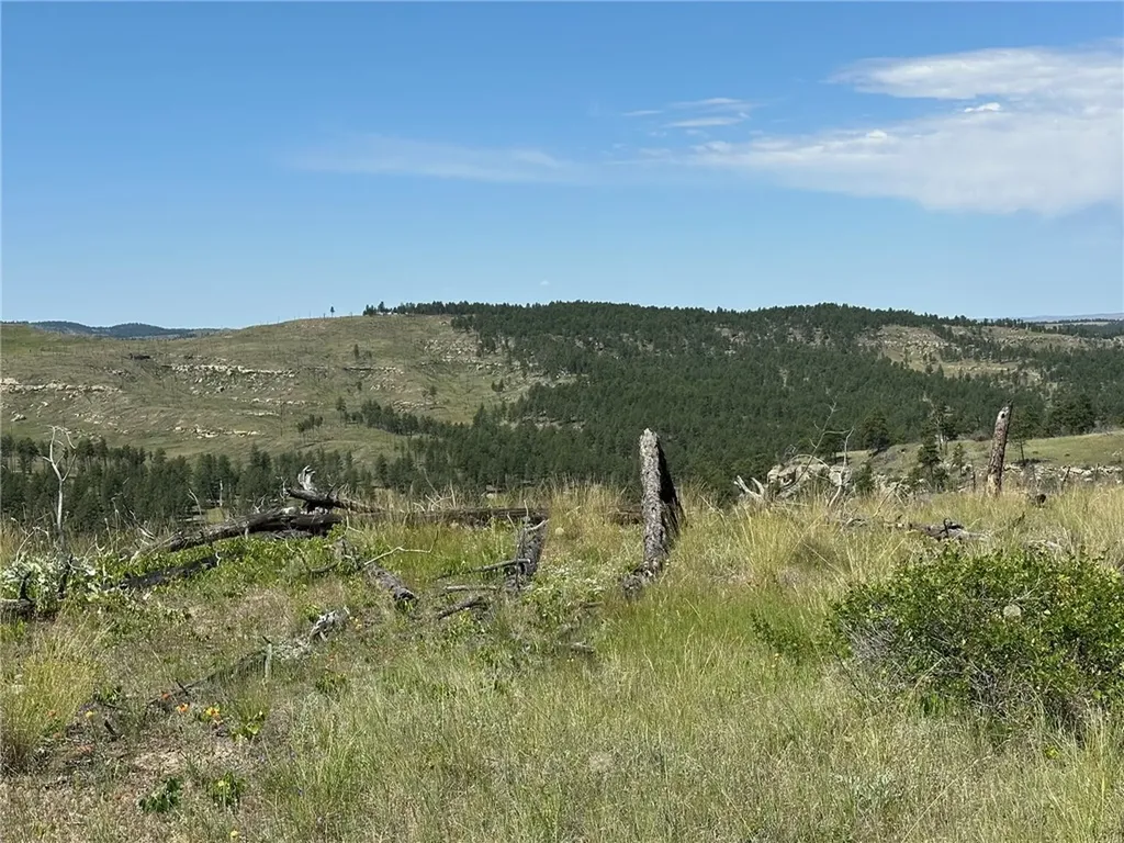 120 Buckskin Road Roundup MT 59072