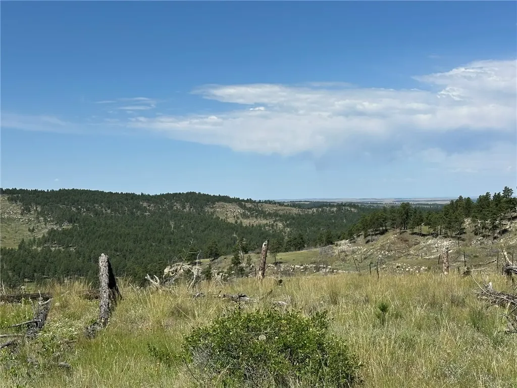 120 Buckskin Road Roundup MT 59072