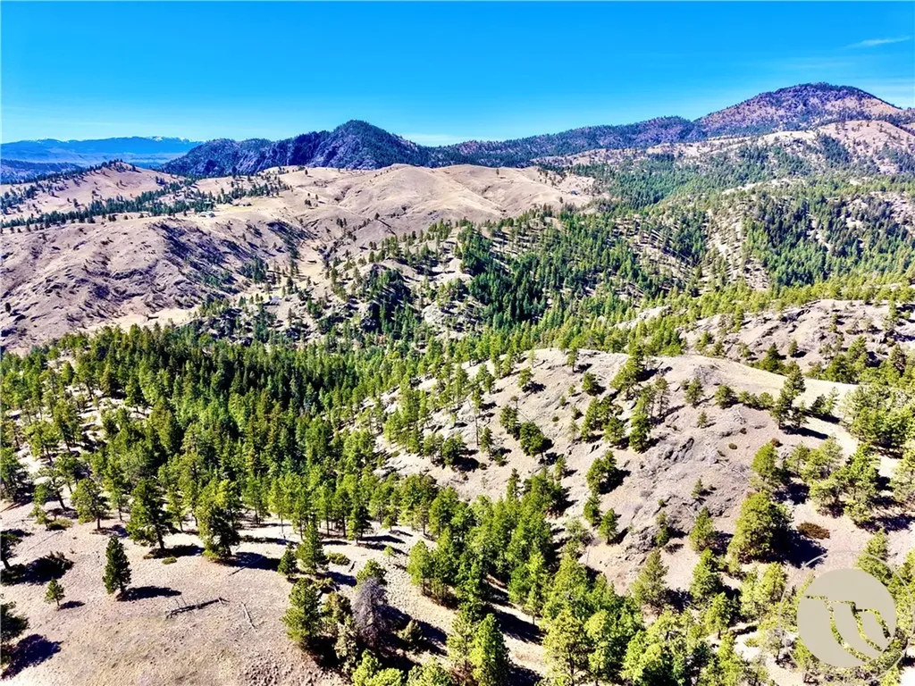 146 Pioneer Trail Lane Other MT 59421