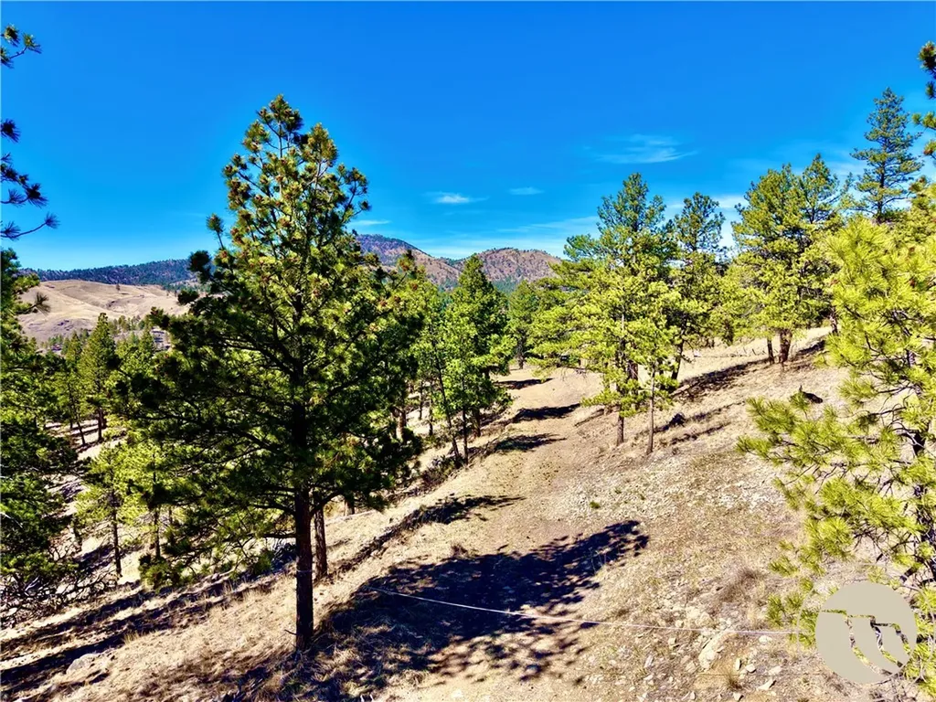 146 Pioneer Trail Lane Other MT 59421